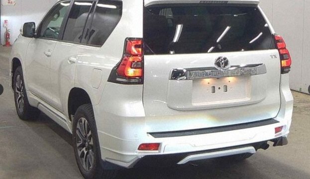 WhatsApp Image 2025-10-30 at 19.45.05 (1)