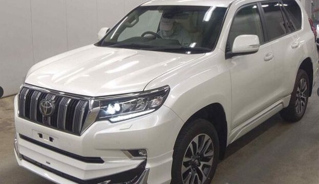 WhatsApp Image 2025-10-30 at 19.45.06 (1)