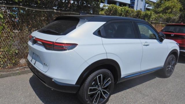 WhatsApp Image 2025-10-31 at 16.37.54