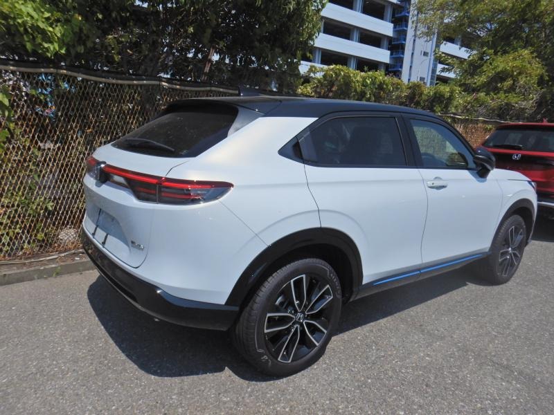 WhatsApp Image 2025-10-31 at 16.37.54