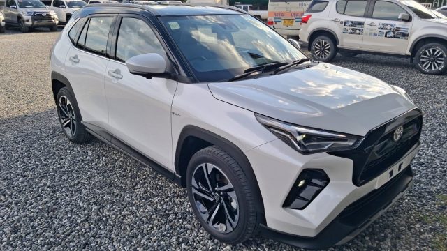 WhatsApp Image 2025-11-03 at 21.55.59_968b74b1