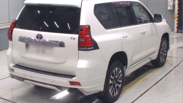 WhatsApp Image 2025-12-29 at 1.13.33 PM