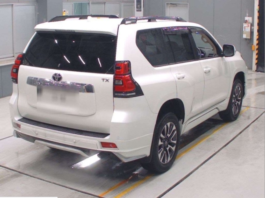 WhatsApp Image 2025-12-29 at 1.13.33 PM