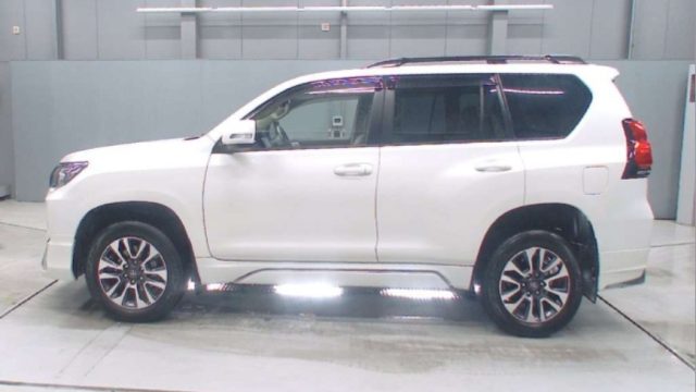 WhatsApp Image 2025-12-29 at 1.13.34 PM