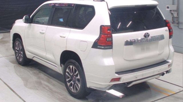 WhatsApp Image 2025-12-29 at 1.13.35 PM